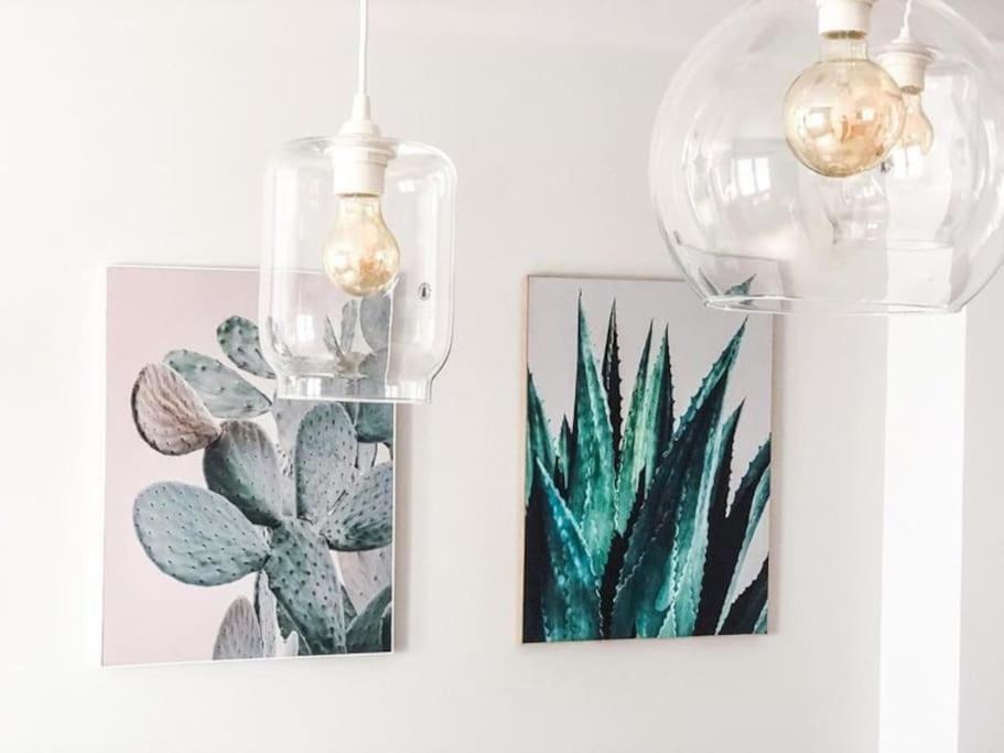 Los Cactus 1 Λας Πάλμας ντε Γκραν Κανάρια Εξωτερικό φωτογραφία